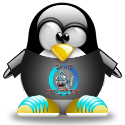 penguin pingouin pinguino 304